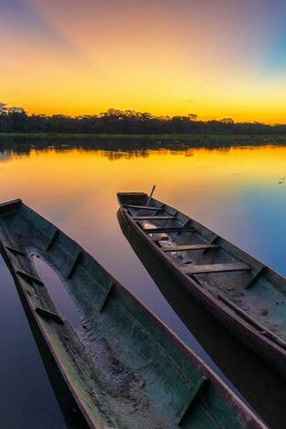 Islas salvajes: Joyas de un paraíso. Islas salvajes: Joyas...: Japón. Isla de extremos