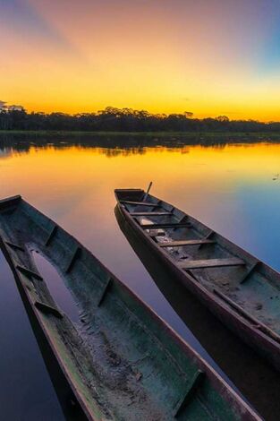 Islas salvajes: Joyas de un paraíso. Islas salvajes: Joyas...: Filipinas. Las islas misteriosas