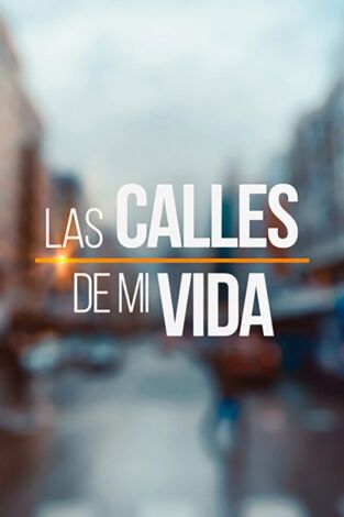 Las calles de mi vida. Las calles de mi vida: Del puente al arenal