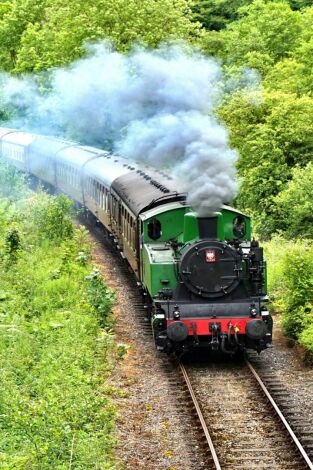 Cómo los trenes cambiaron el mundo. Cómo los trenes...: En la economía