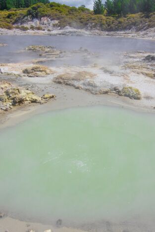 Nueva Zelanda: la isla de la gran nube blanca