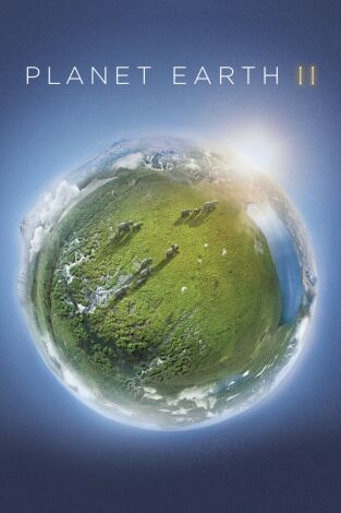 Planeta Tierra. Planeta Tierra: Islas