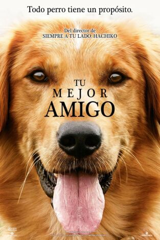 Tu mejor amigo