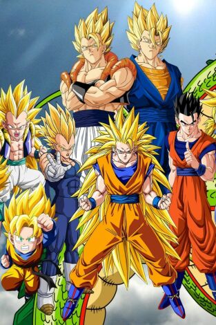 Dragon Ball Z Kai. T(T2). Dragon Ball Z Kai (T2): Ep.5 ¡Llega el Torneo de Artes Marciales! Goten muestra su explosivo poder en el entrenamiento