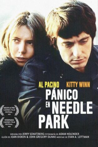 Pánico en Needle Park