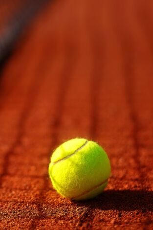 WTA: VIc. T(2025). WTA: VIc (2025): Final