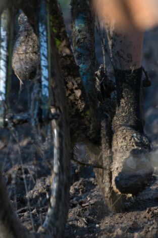 Copa del mundo de ciclocross - Flamanville. T(25/26). Copa del mundo de... (25/26): Carrera M