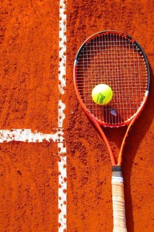 Semifinales. Semifinales: Segunda semifinal