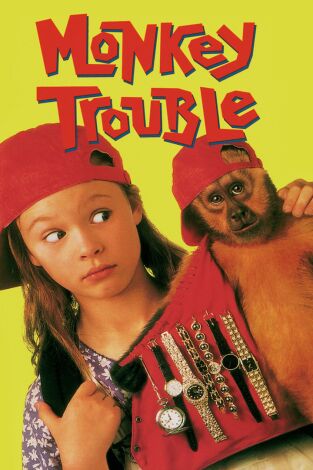 Un ladrón de cuatro manos