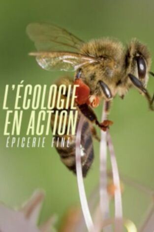 L'écologie en action