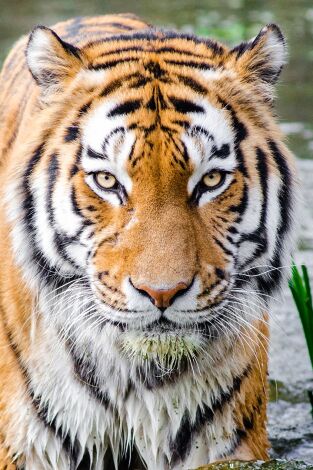 Enquêtes de région - Provence Alpes Côte d'Azur