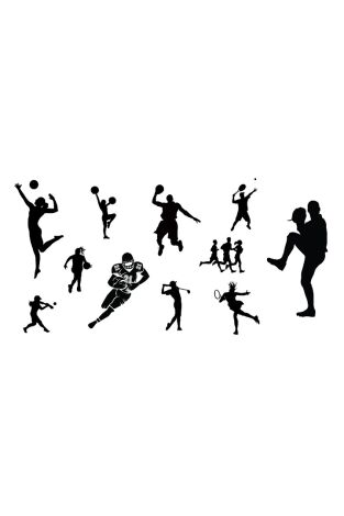 FISE World Series. T(1). FISE World Series (1): Montpellier - Masculino