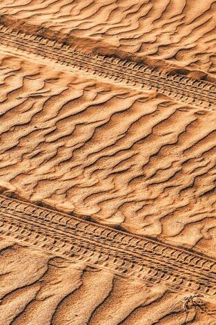 Extreme E: Desert X Prix. T(2025). Extreme E: Desert... (2025): Carrera 2