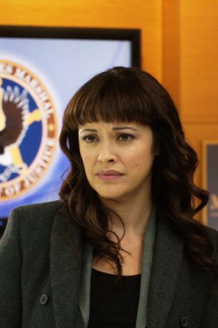 Blue Bloods (Familia de policías). T(T5). Blue Bloods... (T5): Ep.8 El poder de la prensa