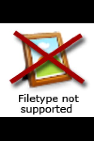 Blue Bloods (Familia de policías). T(T7). Blue Bloods (Familia de policías) (T7)