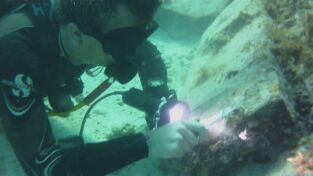 ¿Qué hay de cierto?. ¿Qué hay de cierto?: La Atlántida