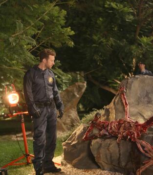 Bones. T(T9). Bones (T9): Ep.3 El carnicero en el coche