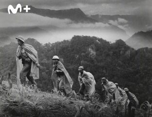 La Guerra de Vietnam. La Guerra de Vietnam: Domar a la fiera