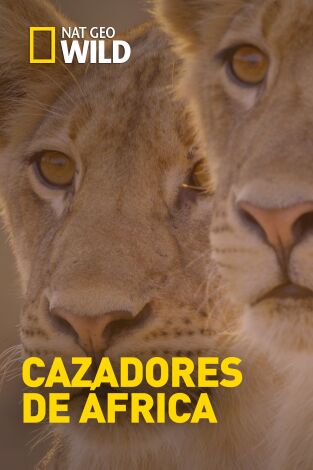 Cazadores de África. Cazadores de África: Compañeros de armas