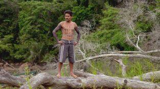 A las puertas del infierno. A las puertas del...: Amenazados - Amazona brasileña