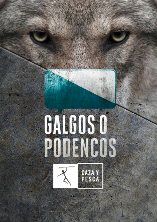 Galgos o podencos