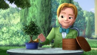La Princesa Sofía. T(T3). La Princesa Sofía (T3): De libro