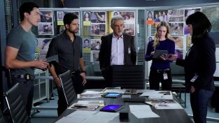 Mentes criminales. T(T14). Mentes criminales (T14): Ep.9 Ala rota