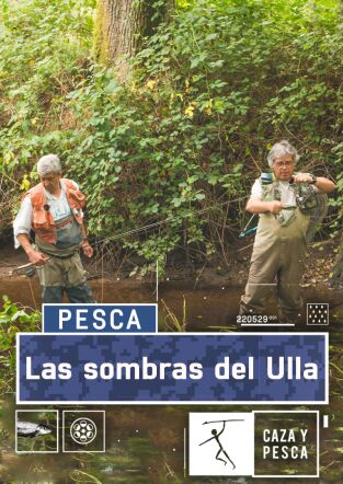 Las sombras del Ulla
