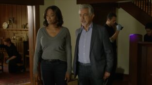 Mentes criminales. T(T14). Mentes criminales (T14): Ep.11 Luces de noche