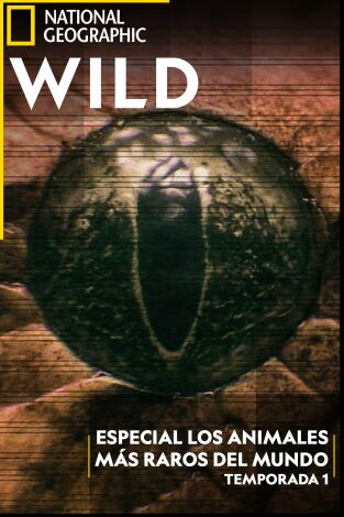 Especial Los animales más raros del mundo
