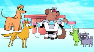 Teen Titans Go!. T(T3). Teen Titans Go! (T3): Animales es solo una palabra