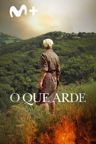 O que arde