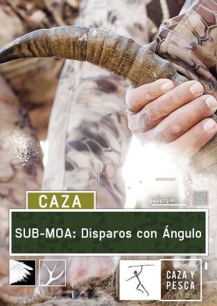 Sub Moa. T(T1). Sub Moa (T1): Disparos con ángulo