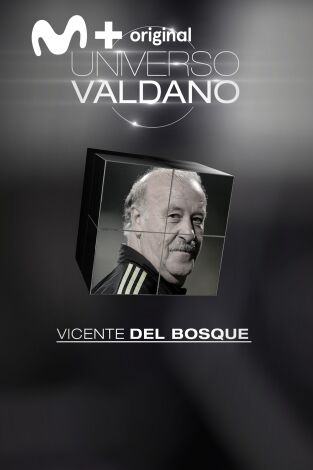 Universo Valdano. T(3). Universo Valdano (3): Vicente del Bosque