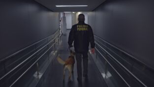 Alerta Aeropuerto 6: Perú y Brasil. Alerta Aeropuerto 6:...: Contrabandistas y recién casados