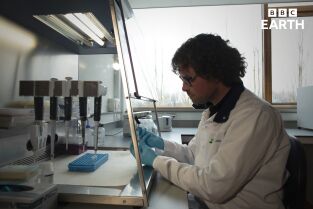 La hora de la naturaleza. La hora de la naturaleza: Entendimiento