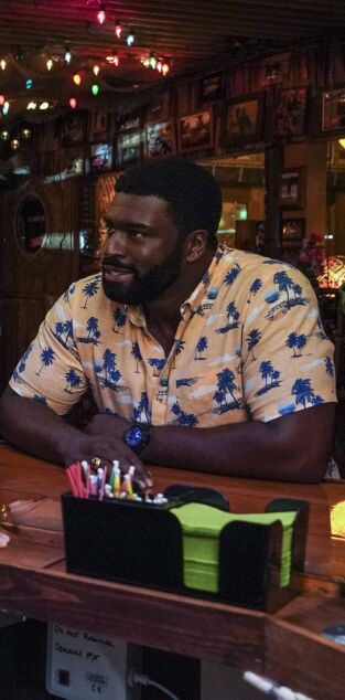 Magnum. T(T3). Magnum (T3): Ep.5 El día que llegó el peligro