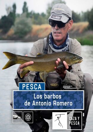 Los barbos de Antonio Romero