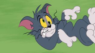 El show de Tom y Jerry. T(T3). El show de Tom y... (T3): La primavera de spike