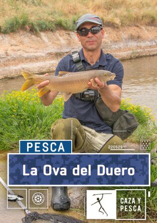 La ova del Duero