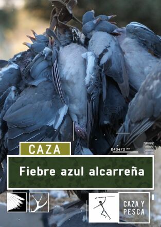 Fiebre azul Alcarreña