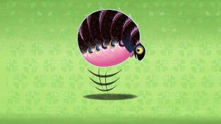 Cuentos de Tinga Tinga. T(T1). Cuentos de Tinga... (T1): ¿Por qué salta Pulga?