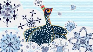 Cuentos de Tinga Tinga. T(T1). Cuentos de Tinga... (T1): ¿Por qué Gallina de Guinea tiene motas?