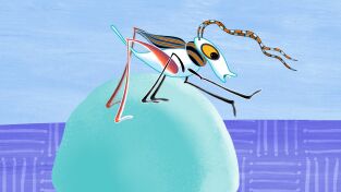 Cuentos de Tinga Tinga. T(T1). Cuentos de Tinga... (T1): ¿Por qué Grillo chirría?