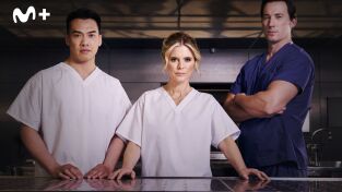 Silent Witness (Testigo mudo). T(T24). Silent Witness... (T24): Ep.7 El guardián del hermano (1ª parte)