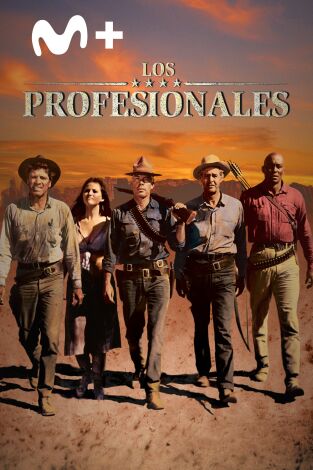 Los profesionales