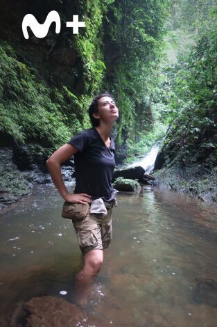 Mundos inexplorados con Steve Backshall. Mundos inexplorados...: Gabón: expedición al paraíso selvático