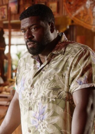 Magnum. T(T4). Magnum (T4): Ep.17 Recuérdame mañana