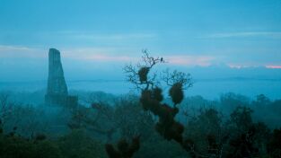 Antiguas civilizaciones de América. Antiguas...: Mayas e Incas: los maestros de la guerra