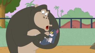El show de Tom y Jerry. T(T5). El show de Tom y... (T5): Un gorila para Tom y Jerry